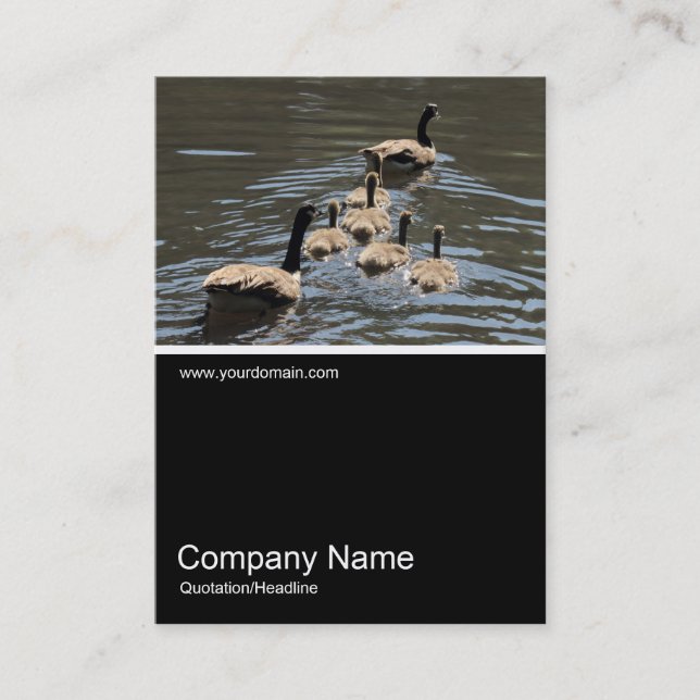 Half&Half Photo 0326 - Canada Geese with Goslings Business Card (Front)