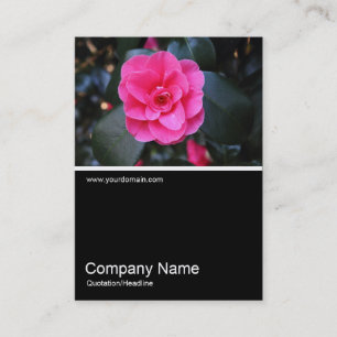 Half&Half Photo 0361 - Pink Camellia Business Card