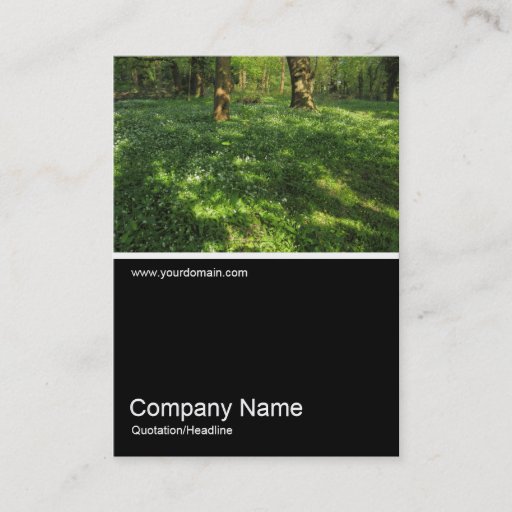Customizable Half&amp;Half Photo 0366 - Spring in the Woods Business Card Template