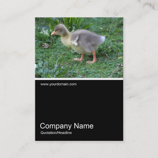 Half&Half Photo 0368 - Gosling Business Card (Front)