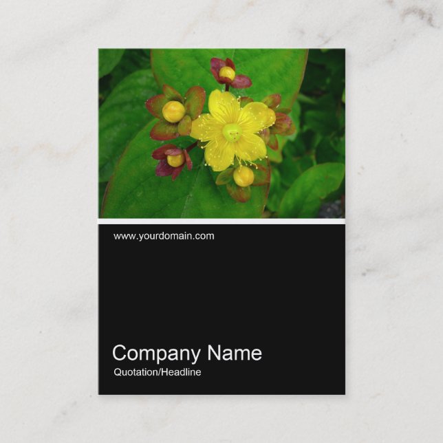 Half&Half Photo 036 - Hypericum Androsaemum Business Card (Front)