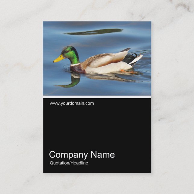 Half&Half Photo 0371 - Mallard Geese Business Card (Front)