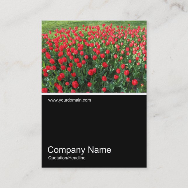Half&Half Photo 0381 - Bed of Red Tulips 01 Business Card (Front)