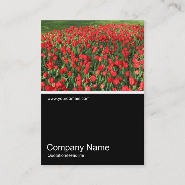 Half&Half Photo 0382 - Bed of Red Tulips 02 Business Card (Front)