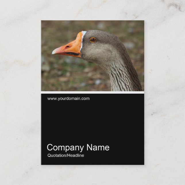 Half&Half Photo 0389 - Greylag Swan Goose Cross Business Card (Front)