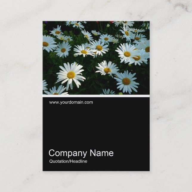 Half&Half Photo 056 - Daisies Business Card (Front)