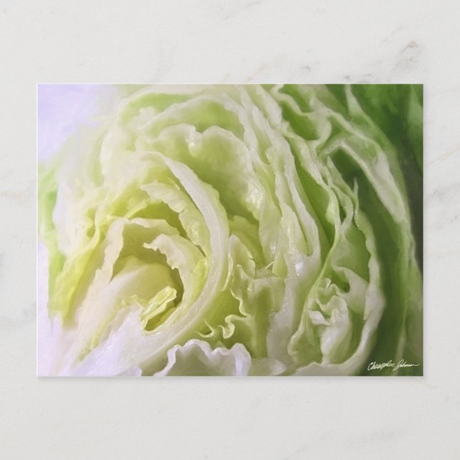 Half Lettuce 1 Postcard (Front)