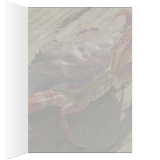 Half Moon Bay (Inside (Right))