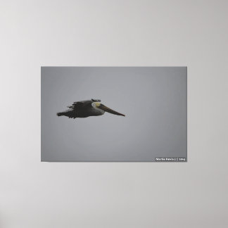 Half Moon Bay Fierce Pelican III - Wrapped Canvas Print