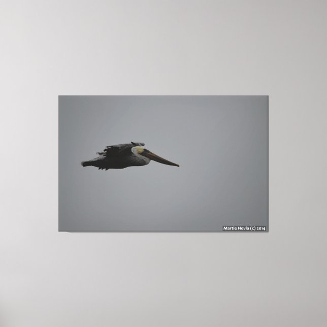 Half Moon Bay Fierce Pelican III - Wrapped Canvas Print (Front)