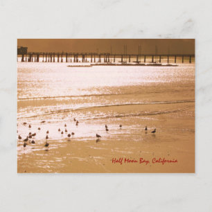 Half Moon Bay Postcard