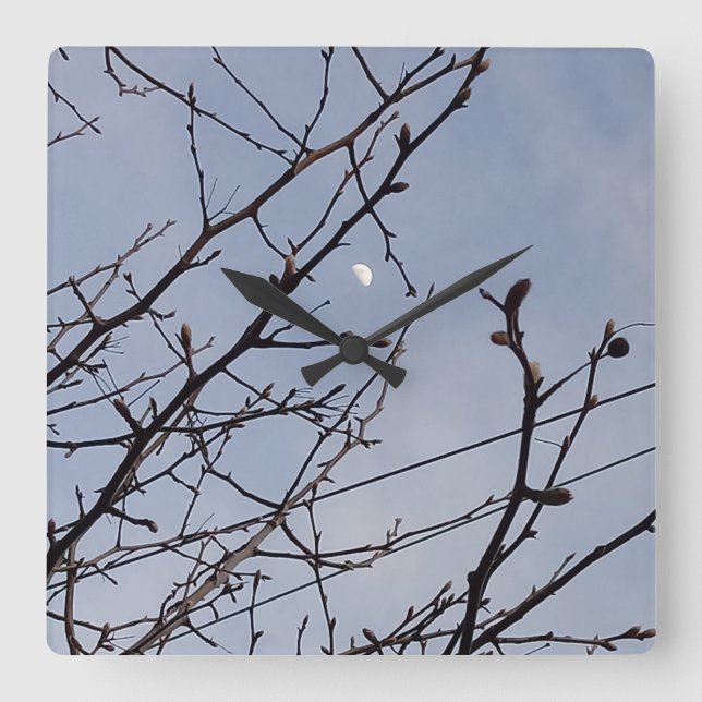 Half Moon in Daylight  Square Wall Clock (Front)