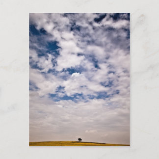 Half of blue universe postcard