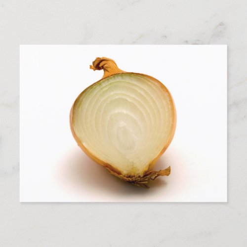 Half Onion Postcard