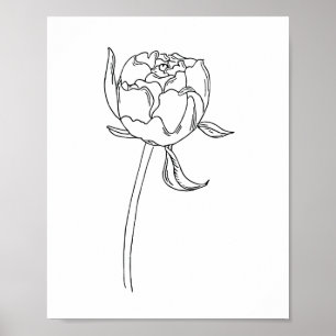 Half open peony flower bud drawing on poster