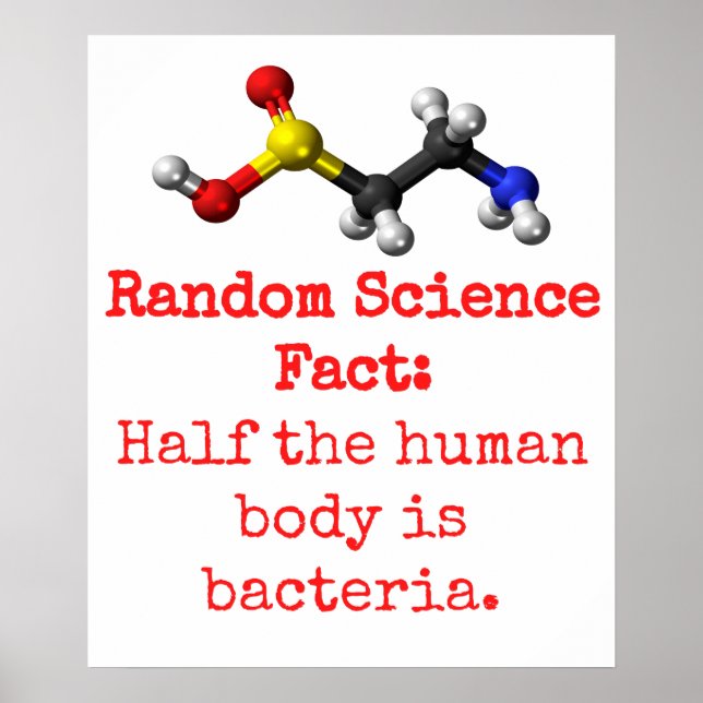 Half The Human Body Is Bacteria - Science Fact Poster (Front)