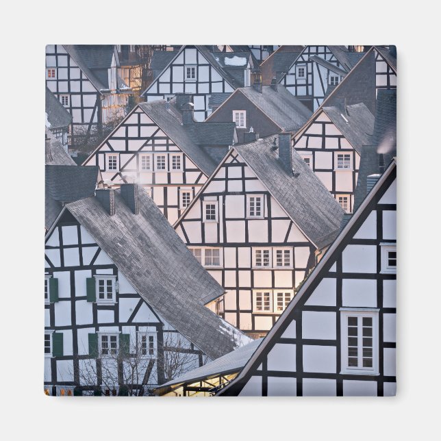 Half-timbered houses in Freudenberg, Germany Magnet (Front)