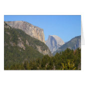 Halfdome Yosemite Forests (Front Horizontal)