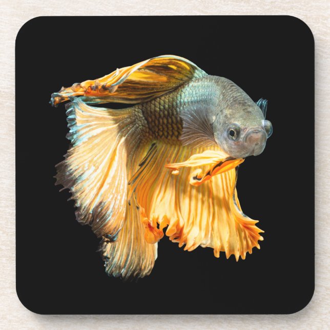 Halfmoon Betta Fish Beverage Coaster (Front)