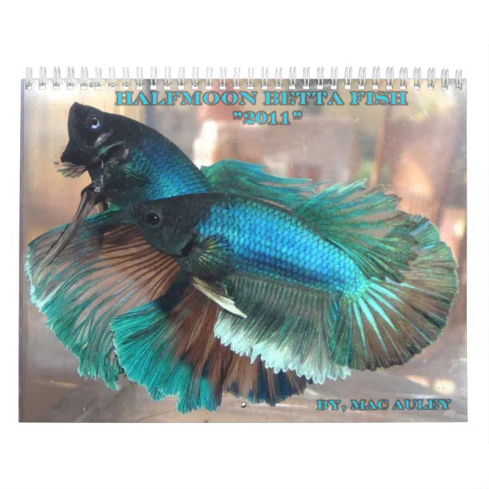 Tropical Fish 2022 Wall Calendar
