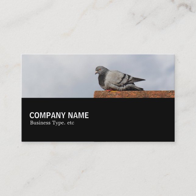 Halfway 0151 - Good Morning Pigeon Business Card (Front)
