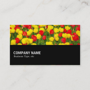Halfway 02 - Colorful Tulips Business Card