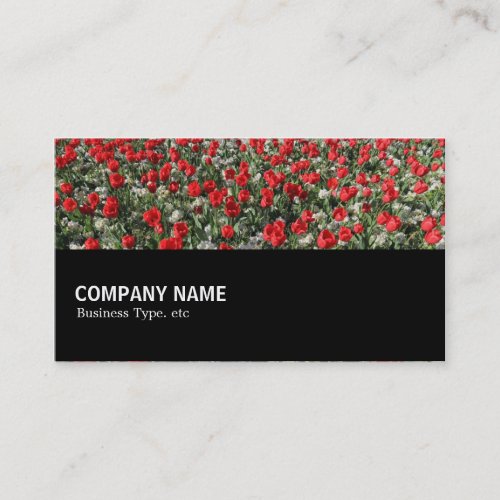 Halfway 097 _ Red Tulips and Primroses Business Card