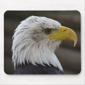 Haliaeetus leucocephalus mouse pad
