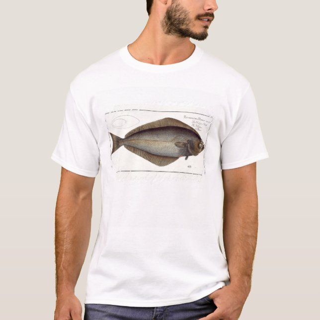 Halibut (Pleuronectes Hippoglossus) plate XLVII fr T-Shirt (Front)