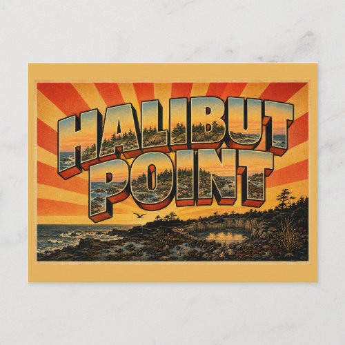 Halibut Point State Park MA Vintage Travel Art Postcard
