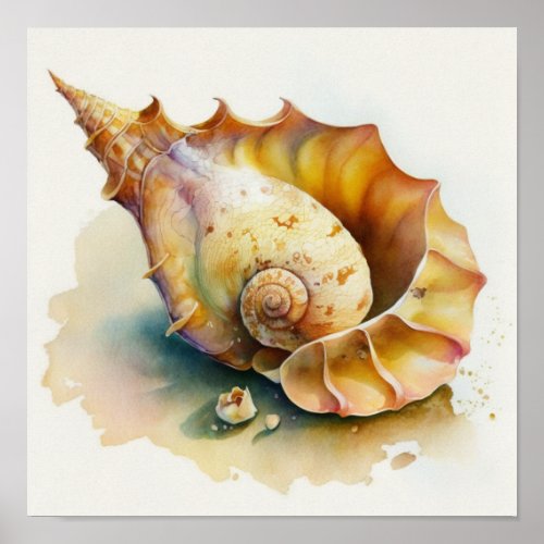 Haliotis conch shell in watercolor  poster