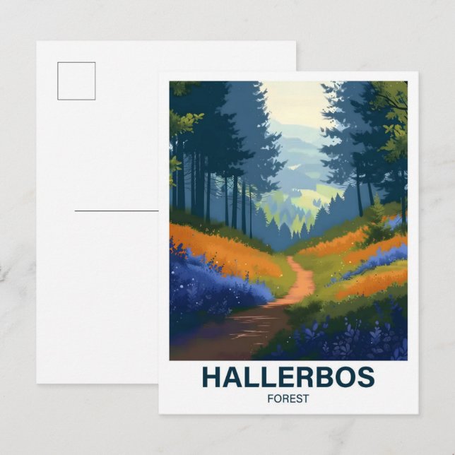 Hallerbos Forest Halle Brabant  Flandria Belgia Postcard (Front/Back)