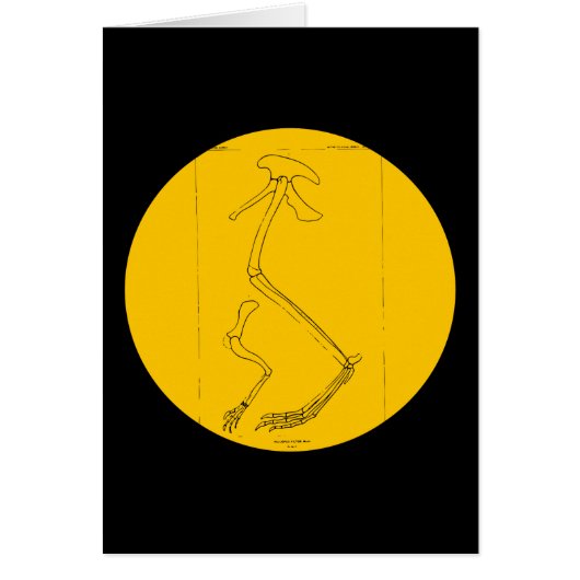 Hallopus Victor Cards (Front)