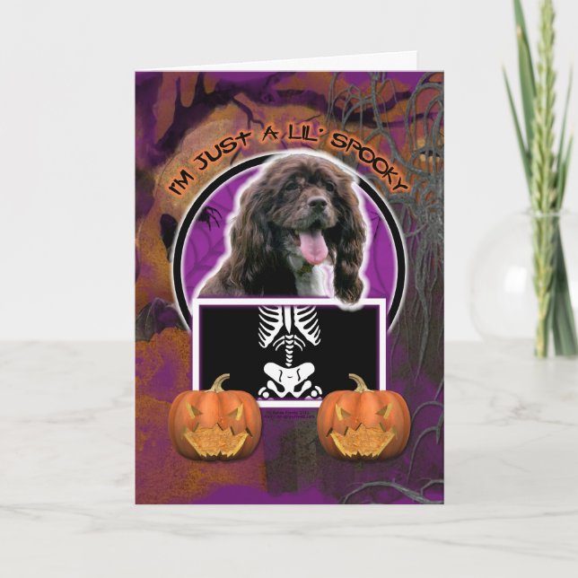 Hallowee, - Just a Lil Spooky - Cocker Spaniel Card (Front)