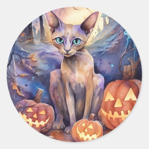 Halloween Abyssinian Cat With Pumpkins Scary Classic Round Sticker