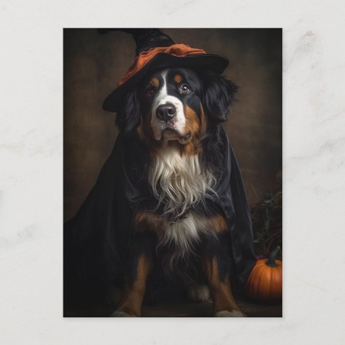 Halloween Adorable Witch Bernese Mountain Dog  Postcard
