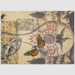 Halloween Alchemy Moth Animal Skull Tissue Paper