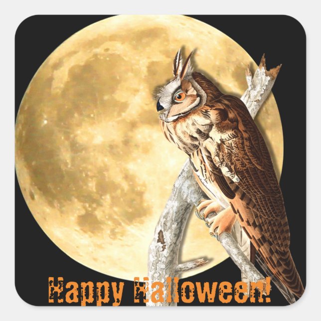 Halloween Audubon Long-eared Owl Stickers (Front)