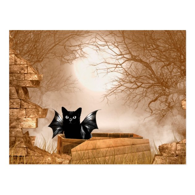 Halloween Bat Cat Postcard