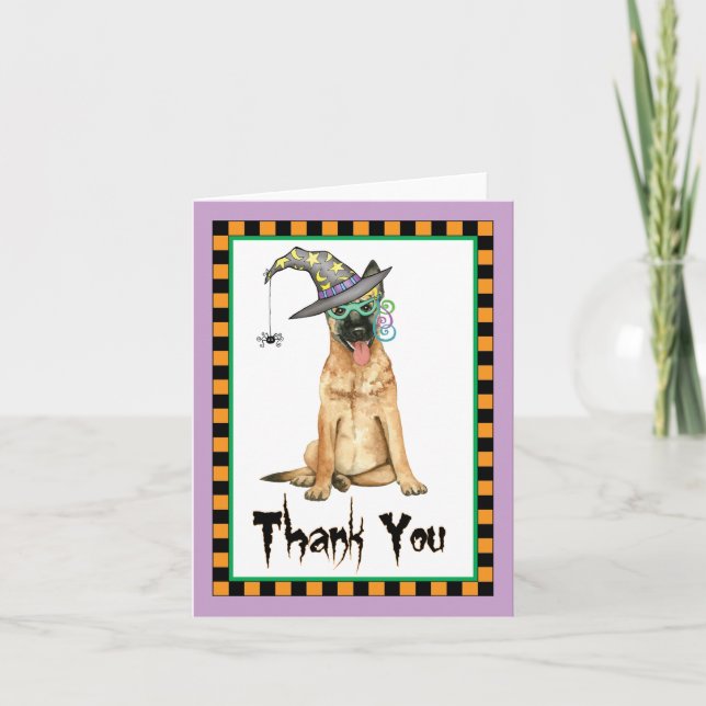 Halloween Belgian Malinois Thank You (Front)