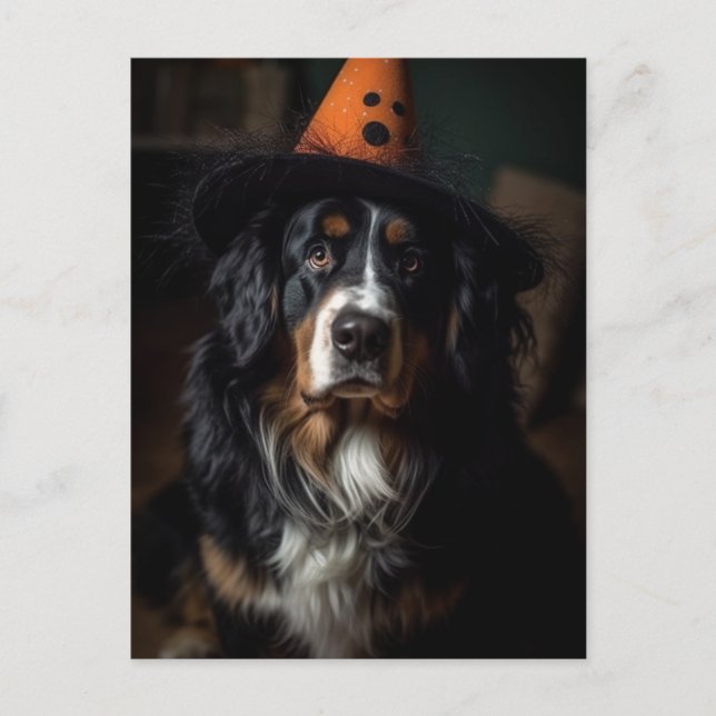 Halloween Bernese Mountain Dog Adorable  Postcard (Front)