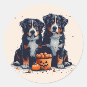 Halloween Bernese Mountain Dogs Pumpkin Classic Round Sticker