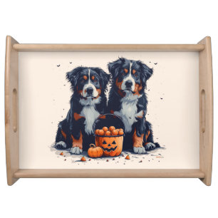 Halloween Bernese Mountain Dogs Pumpkin Serving Tray