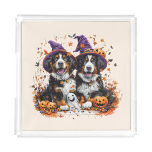 Halloween Bernese Mountain Dogs Witch Ghost Acrylic Tray