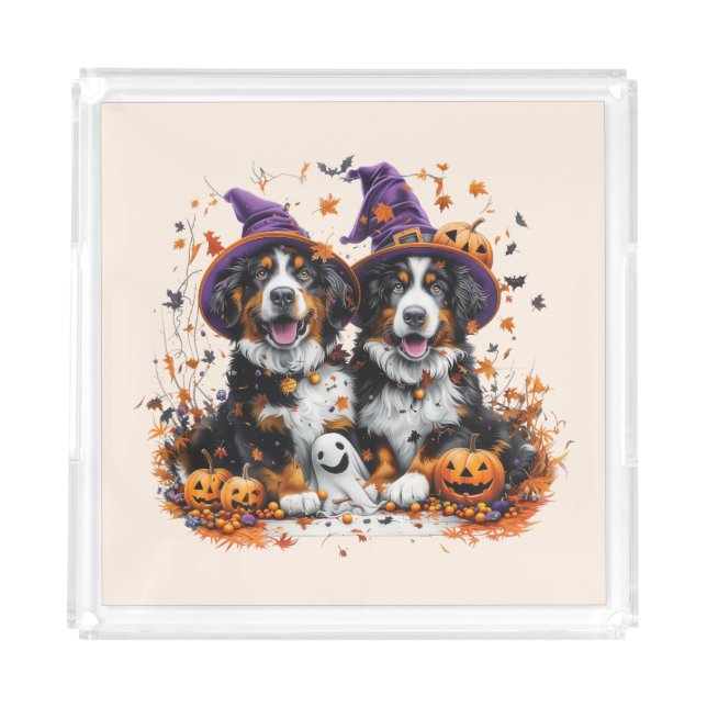 Halloween Bernese Mountain Dogs Witch Ghost Acrylic Tray (Front)