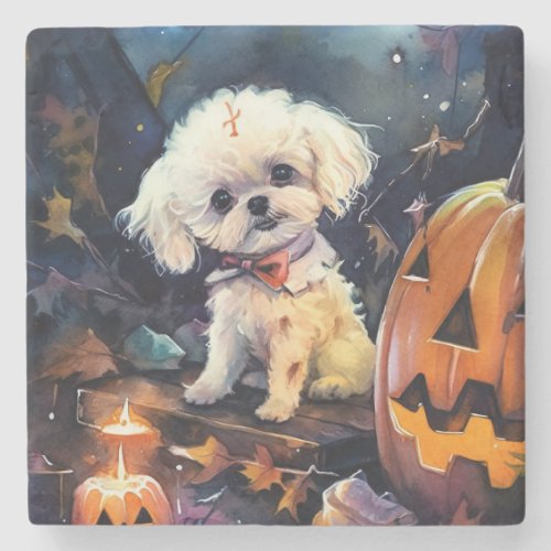 Halloween Bichon Frise With Pumpkins Scary Stone Coaster