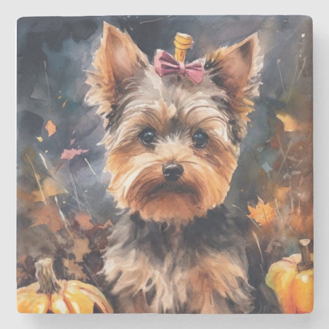 Halloween Biewer Terrier With Pumpkins Scary Stone Coaster (Front)