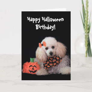 Halloween Birthday poodle dog card