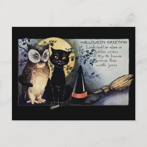 Halloween Black Cat and Owl Postcard