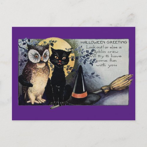 Halloween Black Cat and Owl Postcard